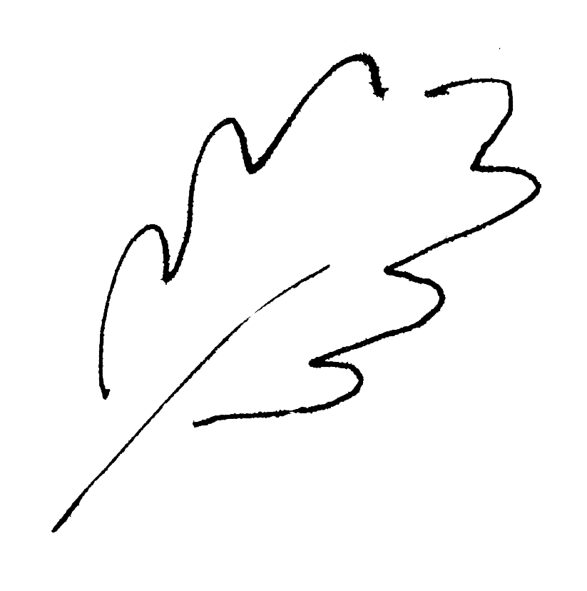 CF Massothérapeute, Yverdon